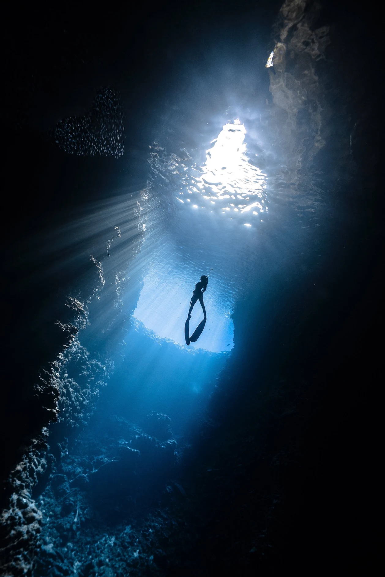 Diving in Belize